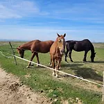 Totvar Lovarda Szallashely Апартаменты Kovagotottos