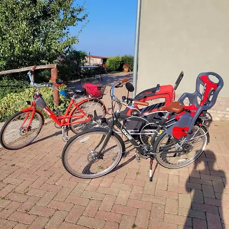 Tótvár Lovas * Kővágótöttös