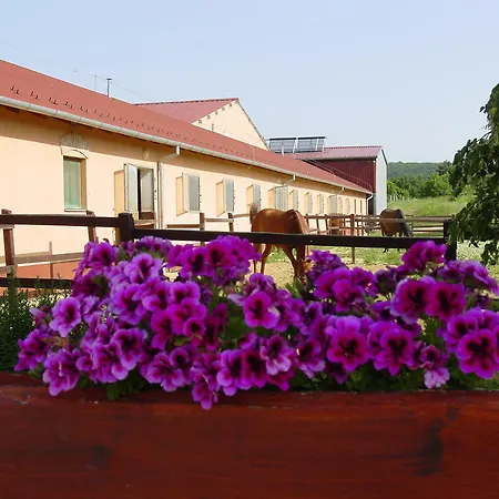 Apartment Totvar Lovas Szallashely Kovagotottos
